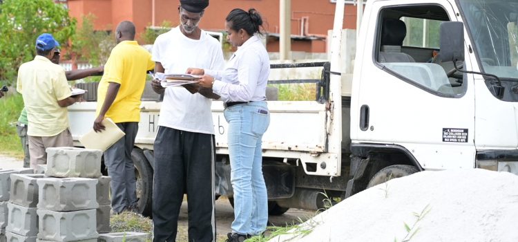 Building Materials Delivered to Sophia Home Improvement Subsidy Beneficiaries