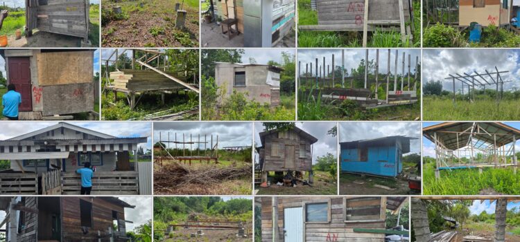 From Uncertainty to Opportunity: How Regularisation and Infrastructure Are Transforming Plantation Arcadia Block IX(Mocha)